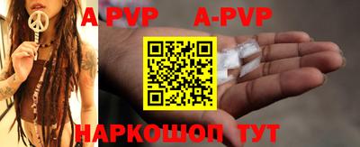 дурь Кингисепп