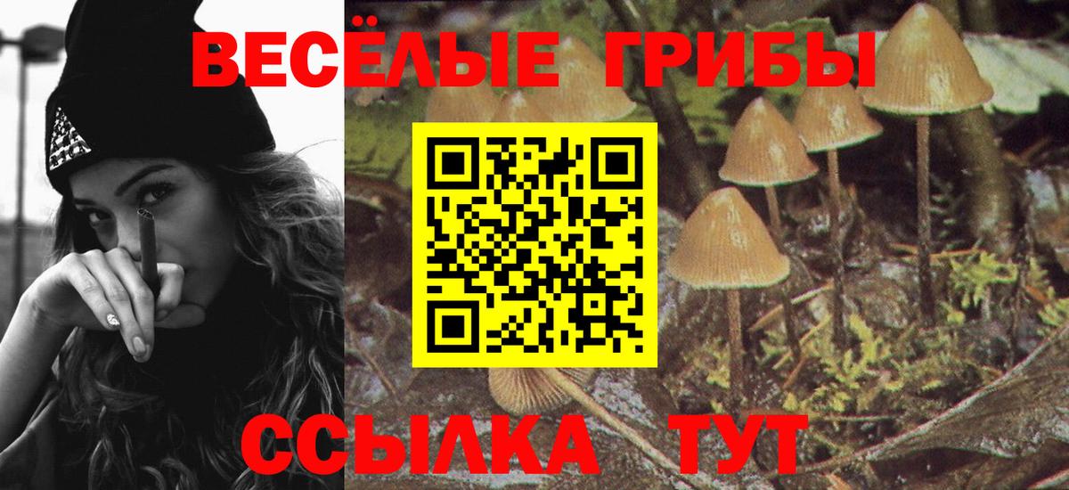 Галлюциногенные грибы Magic Shrooms  Вход с VPN  Псилоцибиновые грибы прущие грибы  Бузулук 