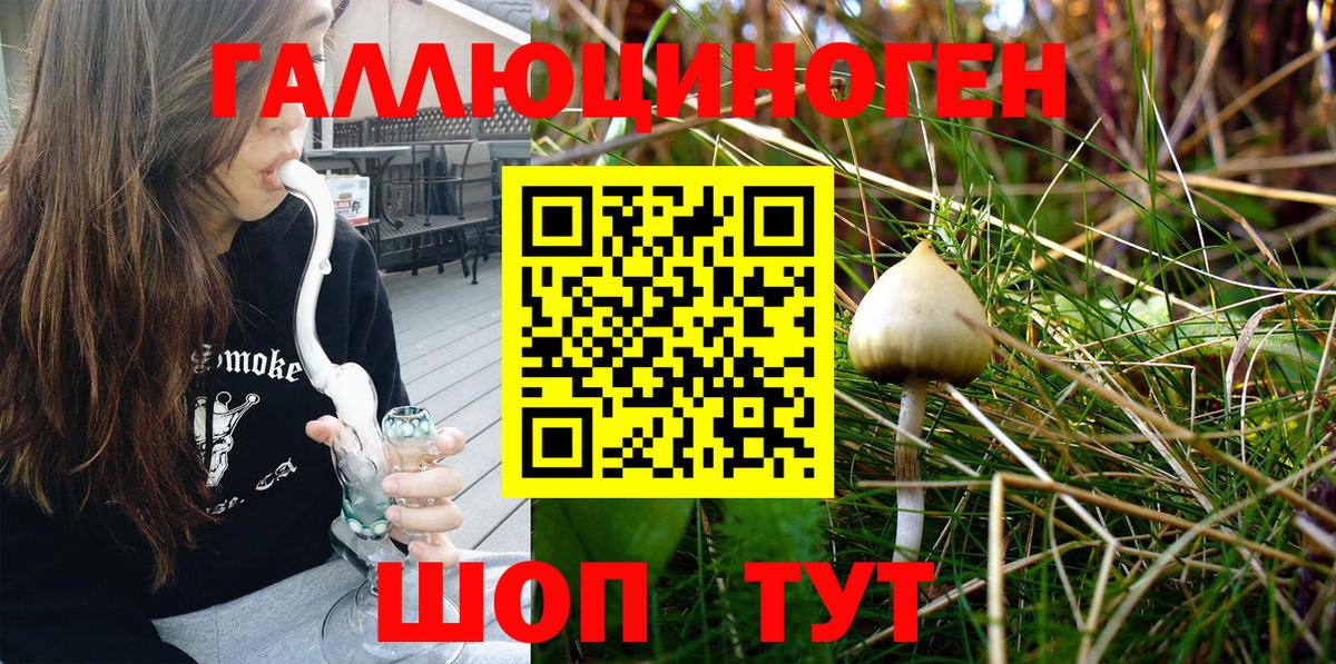 Псилоцибиновые грибы GOLDEN TEACHER Бузулук
